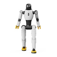 Bipedal Humanoids