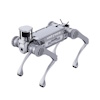 Quadrupeds