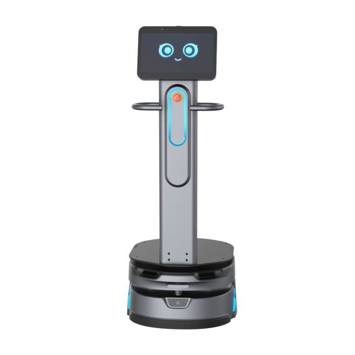 OrionStar CarryBot